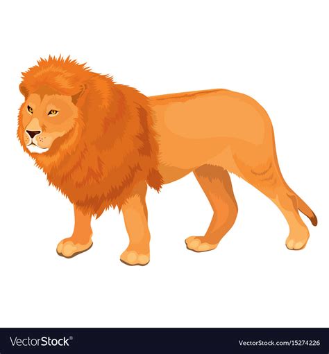 Lion Walking Royalty Free Vector Image Vectorstock