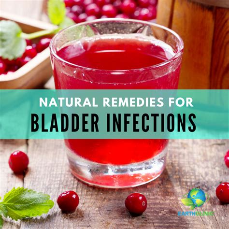 Natural Remedies For A Bladder Infection Uti Bladder Infection