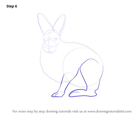 Check spelling or type a new query. Learn How to Draw a Arctic Hare (Antarctic Animals) Step by Step : Drawing Tutorials