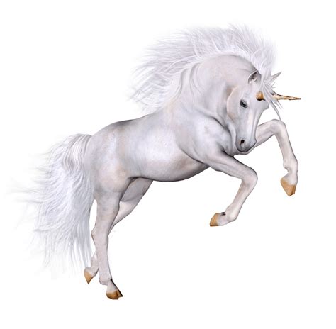 Jumped Horse Horse Png And Horse Clipart Transparent Unicorn Images