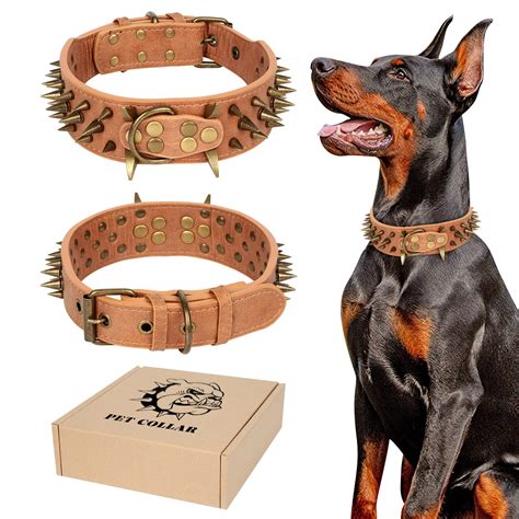 Are Spiked Dog Collars Dangerous