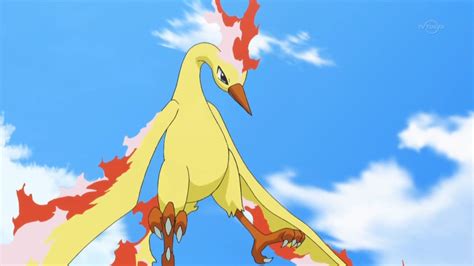 Reminder Legendary Bird Moltres Is Now Live In Pokémon Go Nintendo Life