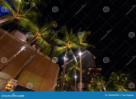 Low Angle View Of Tall Palm Trees And Illuminated Buildings At Night