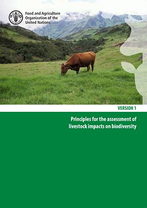 Guidelines Livestock Environmental Assessment And Performance LEAP Partnership Food And