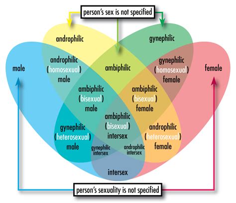 Sexual Orientation Introduction To Sociology