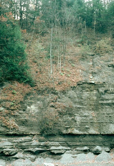 University At Buffalo Dept Of Geology