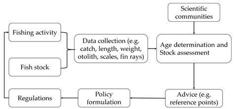 Water Free Full Text Scientific Methods To Understand Fish