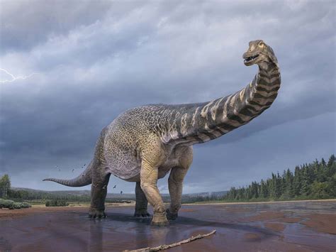 In The Big League Where You Can See The Largest Dinosaur Ever Found In