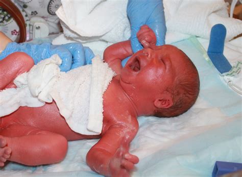 Babies r us ladybug bath sponge cushion. lots of little johnsons: NICU Baby