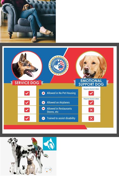 We did not find results for: Tags and Charms 177790: Esa Certified Housing Apartment ...