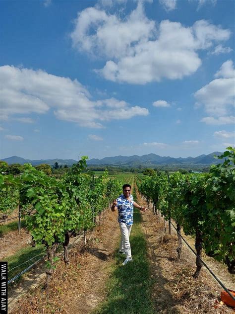 Day Driving Motorbike From Hua Hin To Monsoon Valley Vineyard Hua