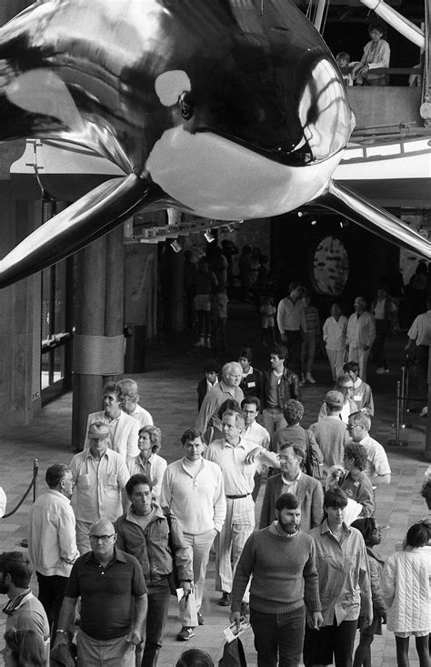Monterey Bay Aquariums 1984 Debut Packing Em In Like Sardines On