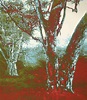 Masakatsu Kondo (1962-) Bats Hour 2005 (160 x 138 cm) oil on canvas ...