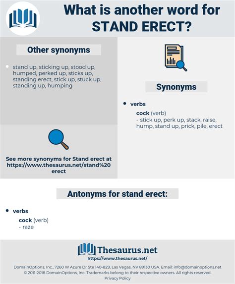 Synonyms For Stand Erect