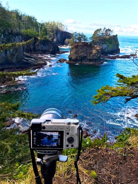 Discover olympic national park and join tours and vacation packages in canada from vancouver and seattle, calgary and miami. Things You Need to Know Before You Visit Olympic National ...