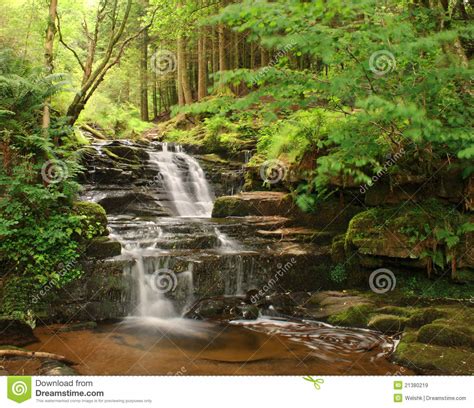 Woodland Waterfall Stock Image Image Of Green Moss 21380219