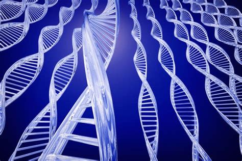 secuencian por primera vez el genoma completo de un ser humano