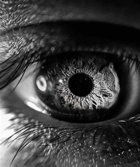 macro photography of the eyes tips and examples macro photography eyes eye photography