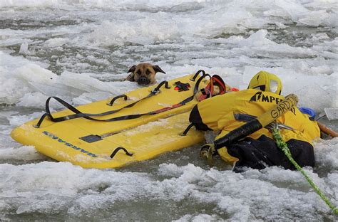 ‘lucky Dog Rescued After Falling Through Ice On Wallkill River