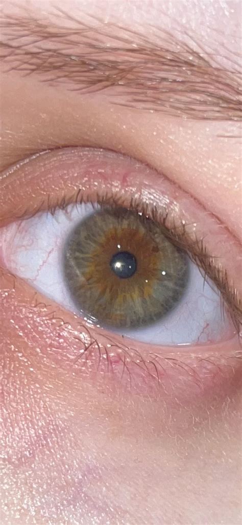 Eye Color Eyes