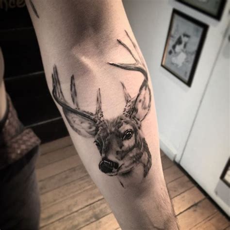 22 Tattoos Of Deer Heads Ianischinua
