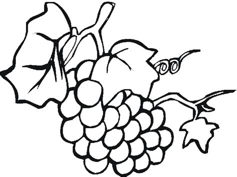 Feuille de vigne a colorier for dessin de feuilles. Dessins de Raisin à colorier