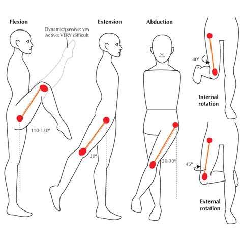 Range Of Motion After A Joint Replacement Milestones To Hit After Surgery