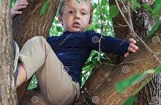 ragazzo scalato albero