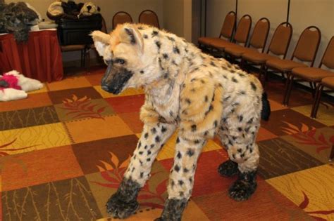 Realistic Hyena Fursuit Quadsuit Convertible Full Costume Size Small