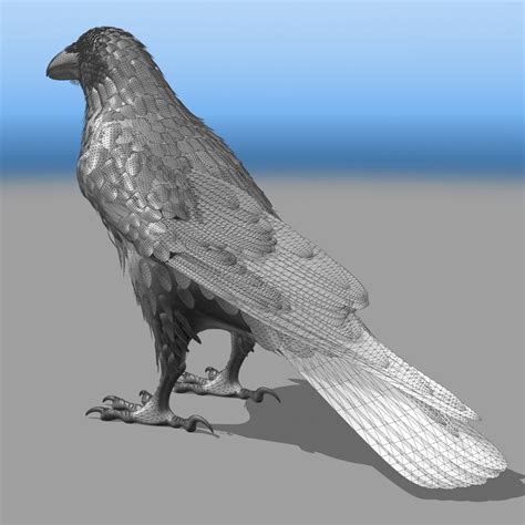 3d Common Raven