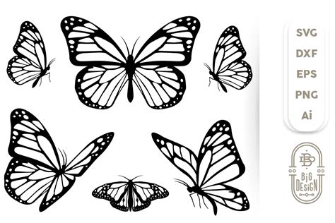 Butterfly Svg Bundle 5 Monarch Butterflies Svg Cut Files 238384
