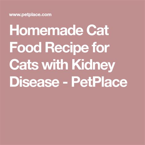 Pin On Cat Food Recipes