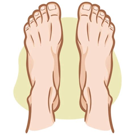 Cartoon Of The Pedicure Feet Illustrations Royalty Free Vector