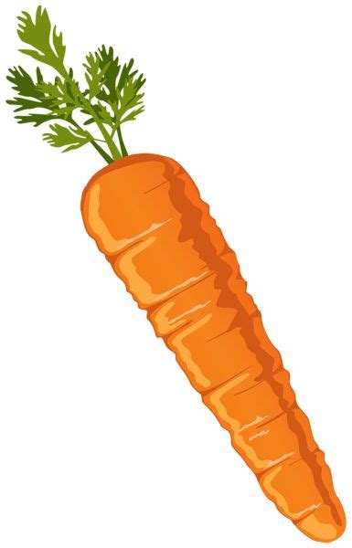 Carrot Clipart Png Image Graphics Pinterest Carrots