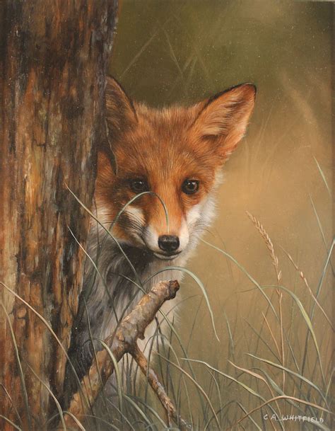 Carl Whitfield Original Oil Painting On Panel Fox In The Grass