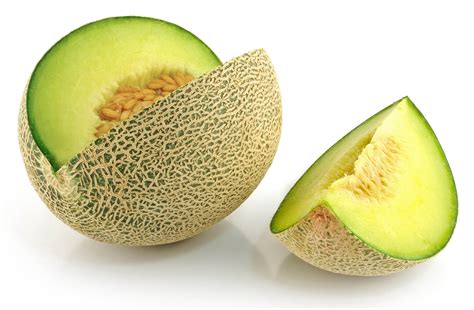 Gambar 17 pemanenan melon golden apollo : Peluang Usaha Keripik Melon Dan Analisa Usahanya - Agrowindo