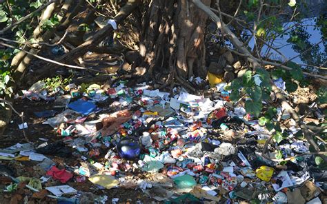 Environmental Ponderings Litter The Scourge Of The Modern World