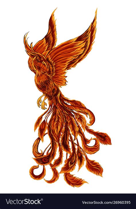 Phoenix Fire Bird Royalty Free Vector Image Vectorstock