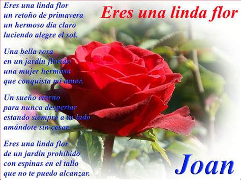 Top 109 Poemas Con Nombres De Flores Anmbmx