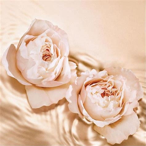 Jimmy Choo Seduction Collection Tempting Rose Eau De Parfum Women