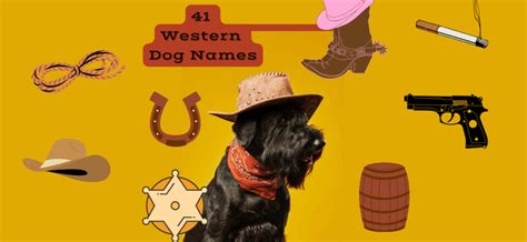 Western Dog Names 41 Cowboy Names For Dogs Petstime