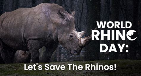 World Rhino Day Lets Save The Rhinos