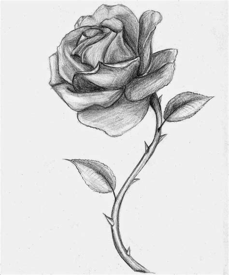 Rose Drawing Topkebumennewsco