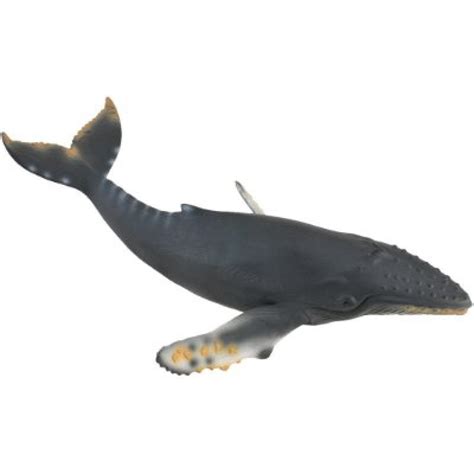 Collecta Collecta Sea Life Humpback Whale Toy Figure Authentic Hand