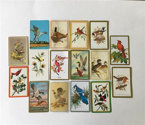 Bird Swap Cards 16 Vintage Playing Cards Birds Geese Duck Etsy