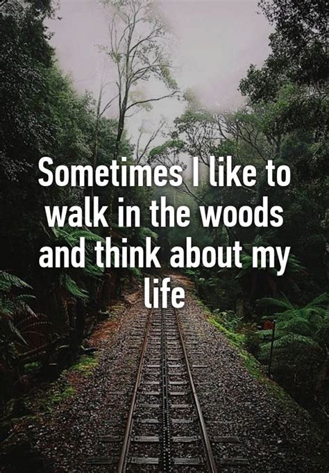 Sometimes I Like To Walk In The Woods And Think About My Life