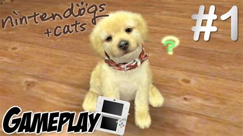 Nintendogs Cats Golden Retriever Gameplay 1 Ita Youtube