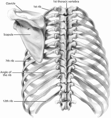 Paus Alabama Byta Kläder Pain Above Left Rib Cage Magia