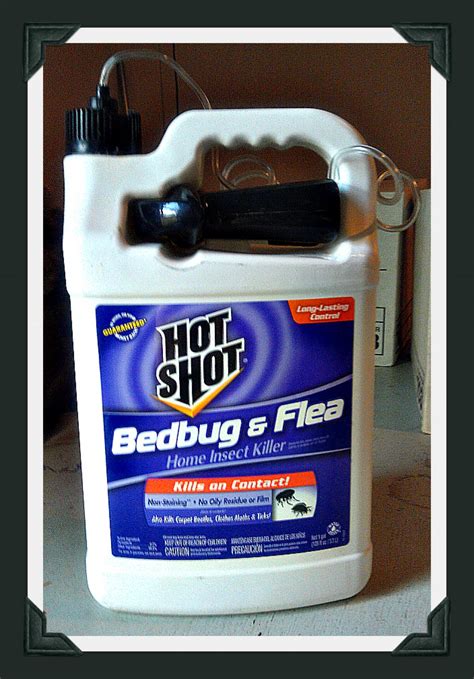 Hot Shot Bed Bug And Flea Spray Review Dengarden