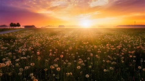 Summer Sunrise Wallpapers Top Free Summer Sunrise Backgrounds